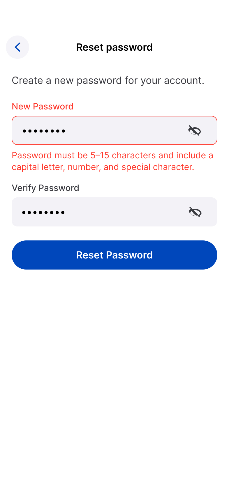 iOS password validation screen